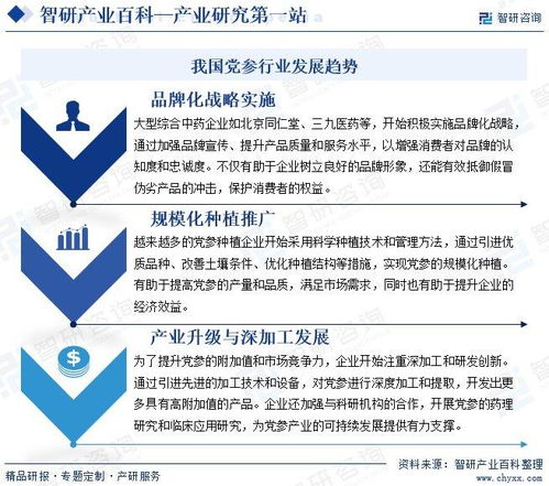 黨參行業分析報告 市場規模、供需態勢、競爭格局及投融資動態解析