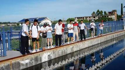 巡訪東山溪流，看我材料河小禹——污水處理與再生利用實(shí)踐探索