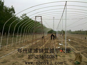 供應(yīng) 大棚 骨架 溫室 大棚 骨架機 食用菌大棚 骨架